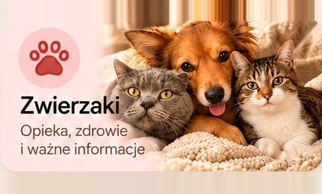 Zwierzaki