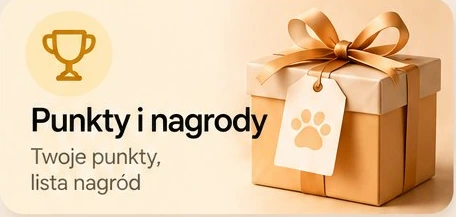 Punkty i nagrody